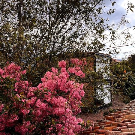 קואנקה Casa Lloret מראה חיצוני תמונה