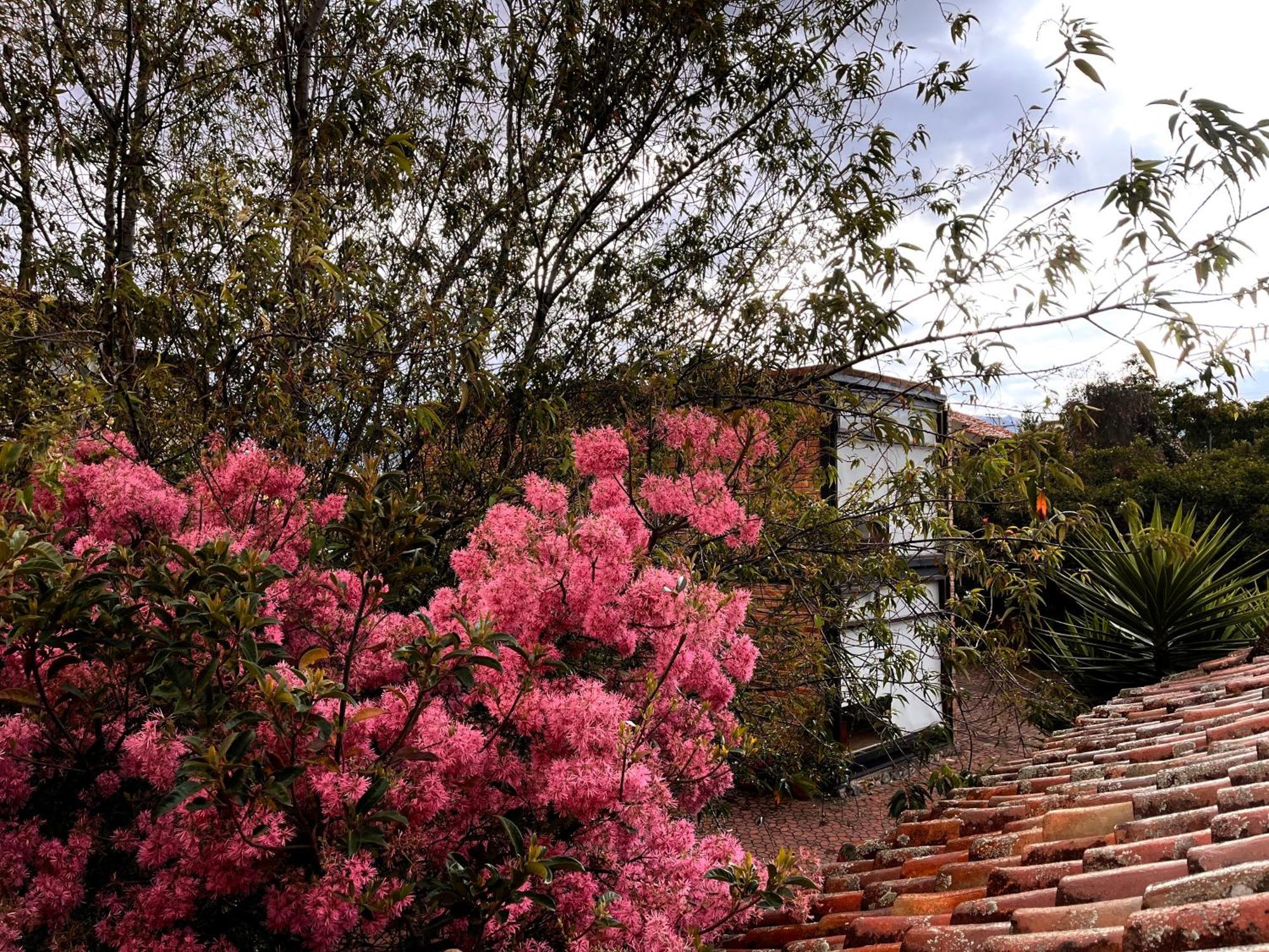 קואנקה Casa Lloret מראה חיצוני תמונה