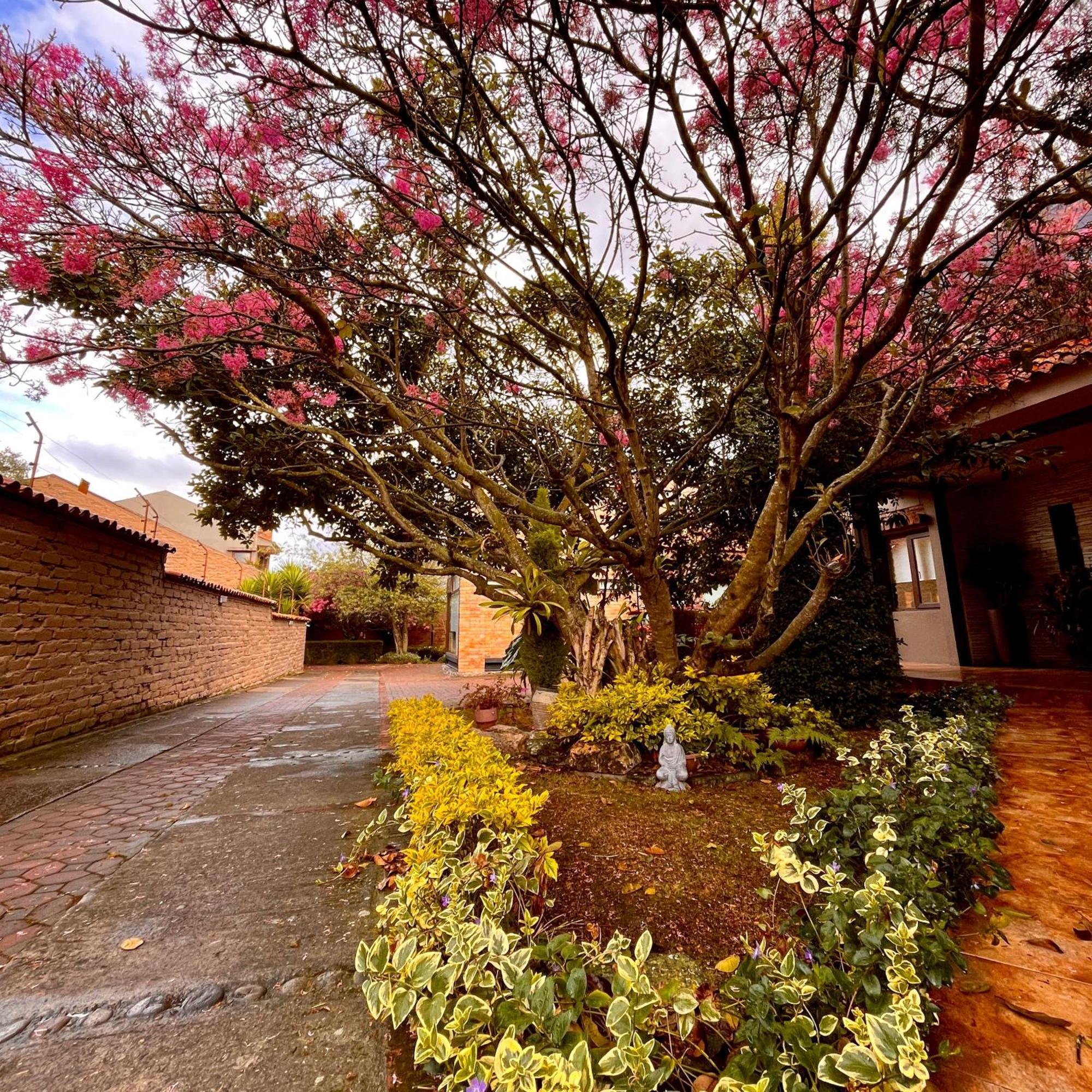 קואנקה Casa Lloret מראה חיצוני תמונה